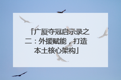 广厦夺冠启示录之二：外援赋能，打造本土核心架构