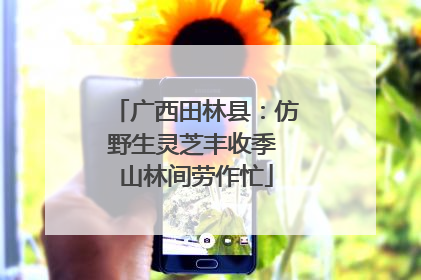 广西田林县：仿野生灵芝丰收季 山林间劳作忙