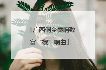 广西侗乡奏响致富“椒”响曲