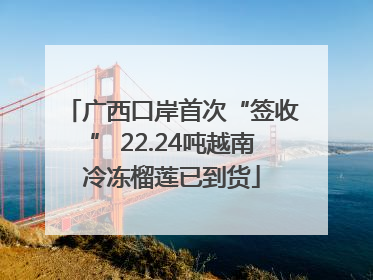 广西口岸首次“签收” 22.24吨越南冷冻榴莲已到货