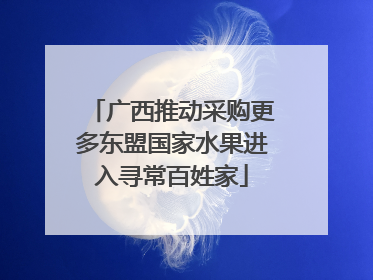 广西推动采购更多东盟国家水果进入寻常百姓家