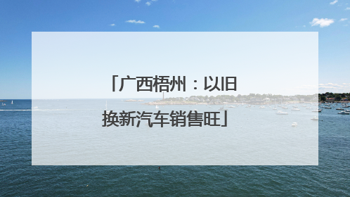 广西梧州：以旧换新汽车销售旺