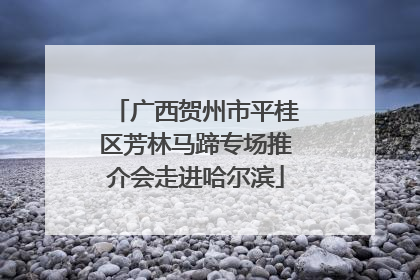 广西贺州市平桂区芳林马蹄专场推介会走进哈尔滨