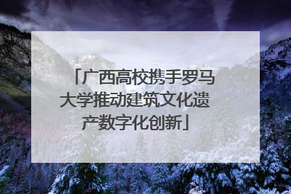 广西高校携手罗马大学推动建筑文化遗产数字化创新