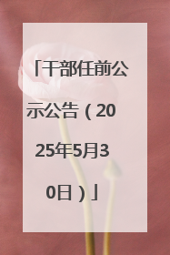 干部任前公示公告（2025年5月30日）