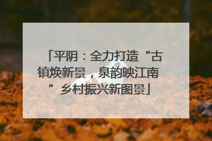平阴：全力打造“古镇焕新景，泉韵映江南”乡村振兴新图景