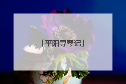 平阳寻琴记