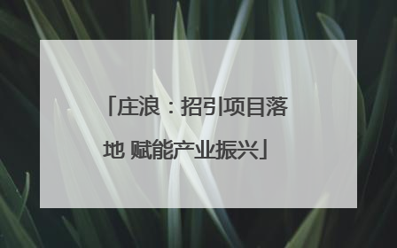 庄浪：招引项目落地 赋能产业振兴