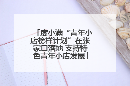 度小满“青年小店榜样计划”在张家口落地 支持特色青年小店发展