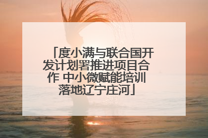 度小满与联合国开发计划署推进项目合作 中小微赋能培训落地辽宁庄河