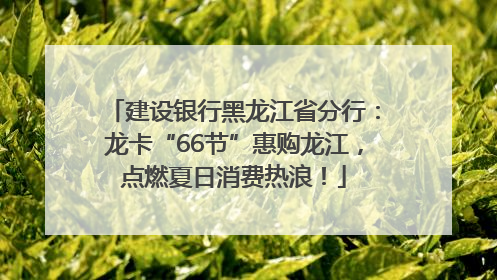 建设银行黑龙江省分行：龙卡“66节”惠购龙江，点燃夏日消费热浪！