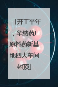 开工半年，华纳药厂原料药新基地四大车间封顶