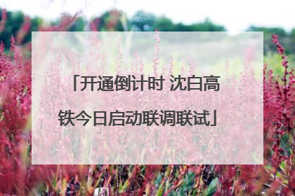开通倒计时 沈白高铁今日启动联调联试
