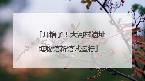 开馆了！大河村遗址博物馆新馆试运行