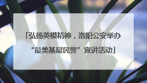 弘扬英模精神，洛阳公安举办“最美基层民警”宣讲活动
