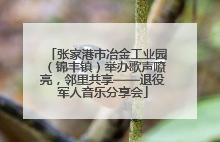 张家港市冶金工业园（锦丰镇）举办歌声嘹亮，邻里共享——退役军人音乐分享会