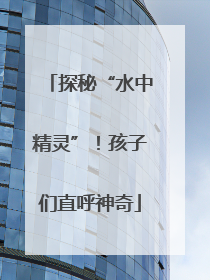探秘“水中精灵”！孩子们直呼神奇