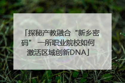 探秘产教融合“新乡密码” 一所职业院校如何激活区域创新DNA