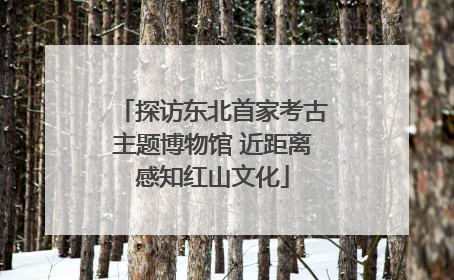 探访东北首家考古主题博物馆 近距离感知红山文化