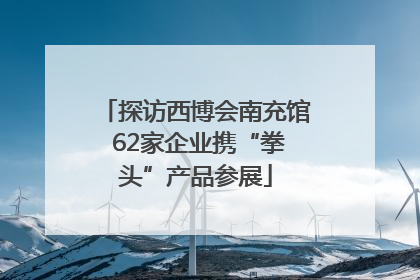 探访西博会南充馆 62家企业携“拳头”产品参展