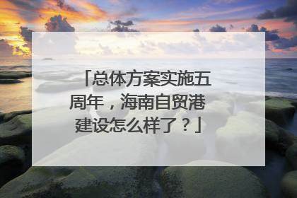 总体方案实施五周年，海南自贸港建设怎么样了？