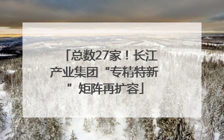 总数27家！长江产业集团“专精特新”矩阵再扩容