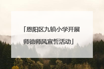 恩阳区九镇小学开展师德师风宣誓活动