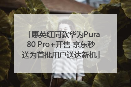 惠英红同款华为Pura 80 Pro+开售 京东秒送为首批用户送达新机