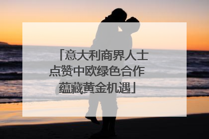 意大利商界人士点赞中欧绿色合作蕴藏黄金机遇