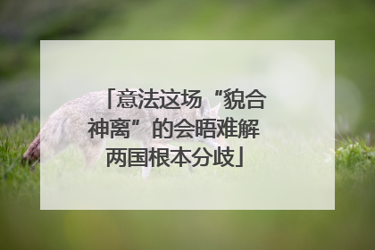 意法这场“貌合神离”的会晤难解两国根本分歧