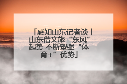 感知山东记者谈丨山东借文旅“东风”起势 不断塑强“体育+”优势
