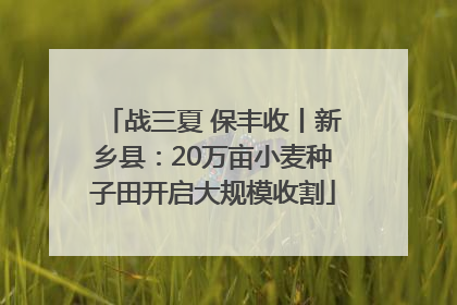 战三夏 保丰收丨新乡县：20万亩小麦种子田开启大规模收割