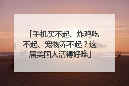 手机买不起、炸鸡吃不起、宠物养不起？这届美国人活得好难