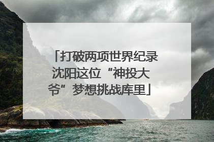 打破两项世界纪录 沈阳这位“神投大爷”梦想挑战库里