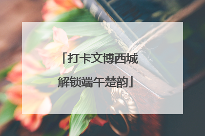 打卡文博西城 解锁端午楚韵