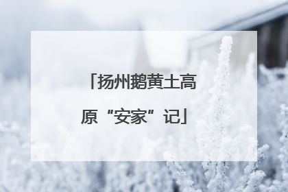 扬州鹅黄土高原“安家”记
