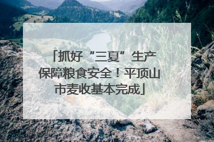 抓好“三夏”生产 保障粮食安全！平顶山市麦收基本完成