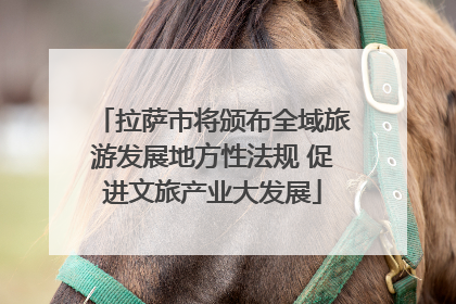 拉萨市将颁布全域旅游发展地方性法规 促进文旅产业大发展