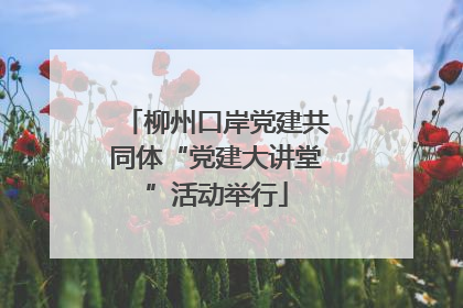 柳州口岸党建共同体“党建大讲堂”活动举行