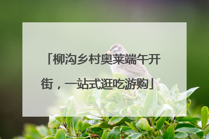 柳沟乡村奥莱端午开街，一站式逛吃游购