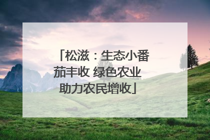 松滋：生态小番茄丰收 绿色农业助力农民增收