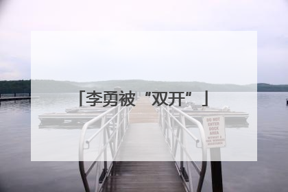 李勇被“双开”