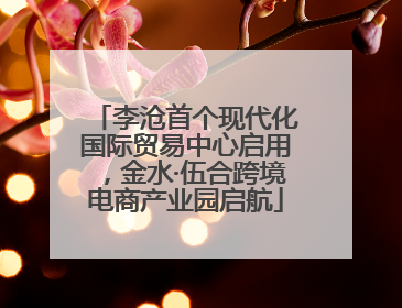 李沧首个现代化国际贸易中心启用，金水·伍合跨境电商产业园启航