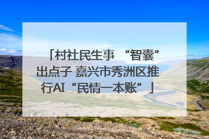 村社民生事 “智囊”出点子 嘉兴市秀洲区推行AI“民情一本账”