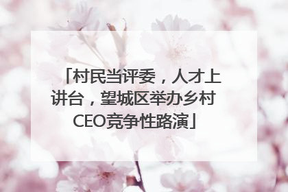 村民当评委，人才上讲台，望城区举办乡村CEO竞争性路演