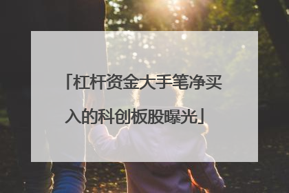 杠杆资金大手笔净买入的科创板股曝光