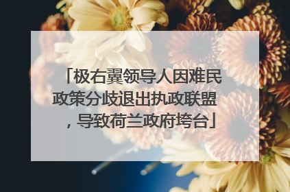 极右翼领导人因难民政策分歧退出执政联盟，导致荷兰政府垮台