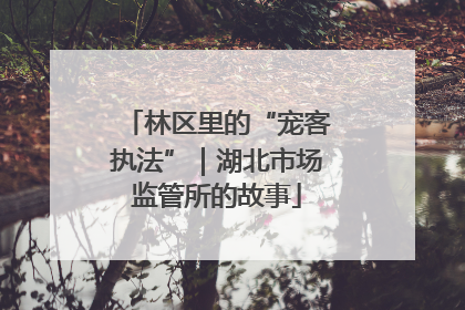 林区里的“宠客执法”｜湖北市场监管所的故事