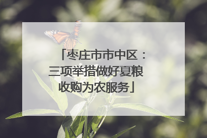 枣庄市市中区：三项举措做好夏粮收购为农服务