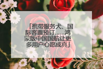携带服务犬、国际客票预订……鸿蒙版中国国航让更多用户心愿成真